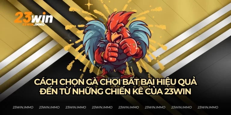 cách chọn gà chọi